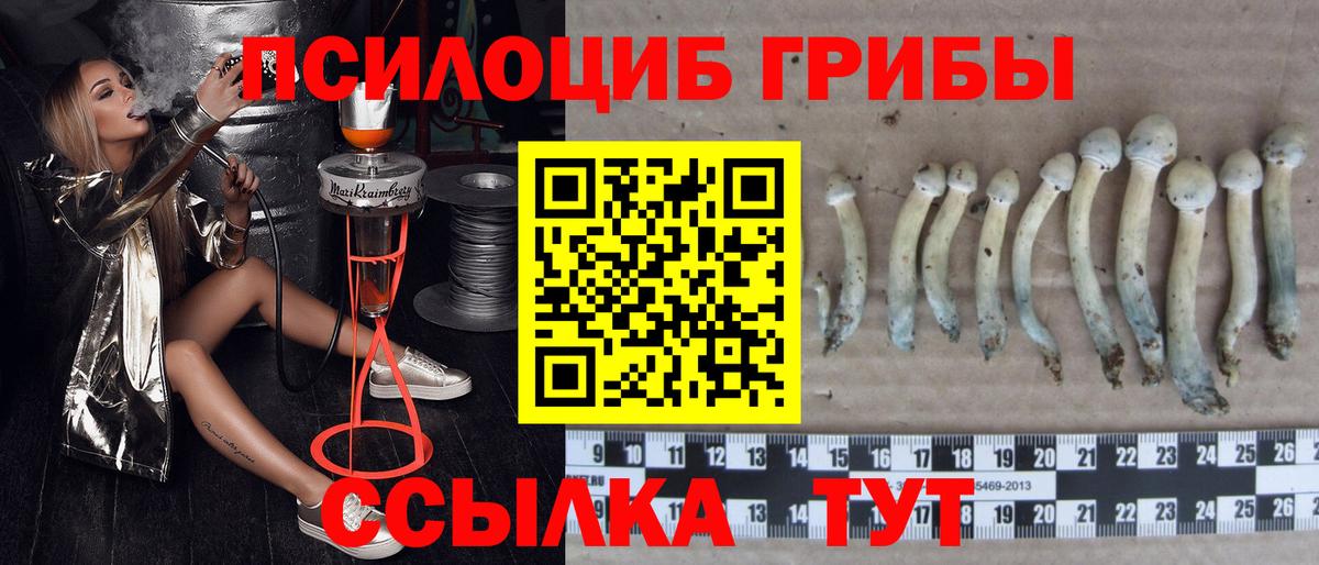 Искитим  цены наркотик  Вход с VPN  Галлюциногенные грибы Psilocybe  Галлюциногенные грибы прущие грибы 